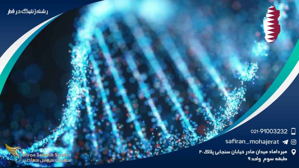 رشته ژنتیک در قطر
