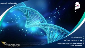 رشته ژنتیک در کره جنوبی