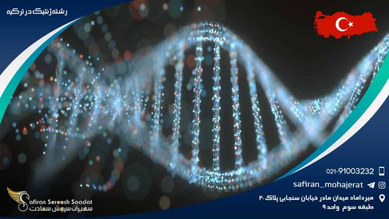 رشته ژنتیک در ترکیه