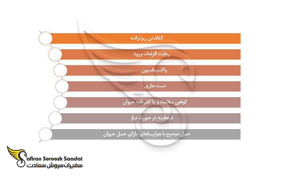 بررسی انتقال حیوانات خانگی در پروسه مهاجرت