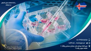 رشته مهندسی شیمی در ایسلند