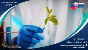 رشته مهندسی شیمی در اسلواکی