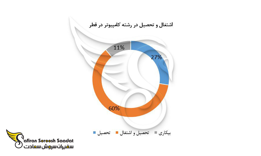 اشتغال و تحصیل در رشته کامپیوتر در قطر