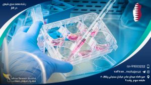 رشته مهندسی شیمی در قطر