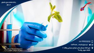 رشته مهندسی شیمی در نروژ