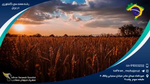 رشته مهندسی کشاورزی در برزیل