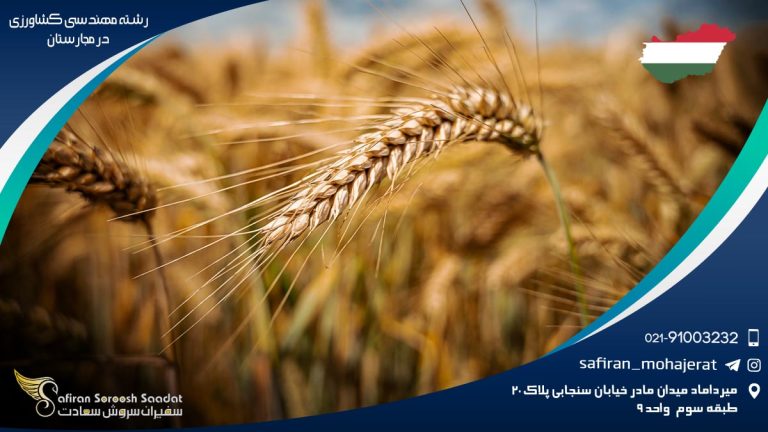 رشته مهندسی کشاورزی در مجارستان