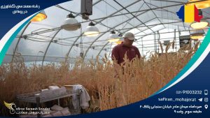 رشته مهندسی کشاورزی در رومانی