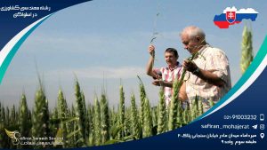 رشته مهندسی کشاورزی در اسلواکی