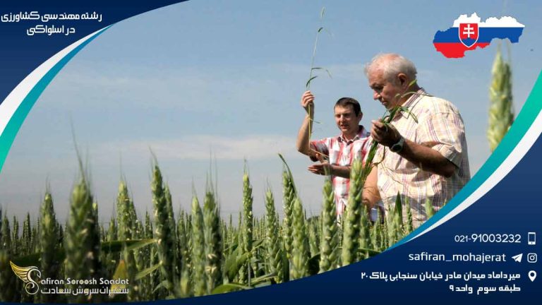 رشته مهندسی کشاورزی در اسلواکی