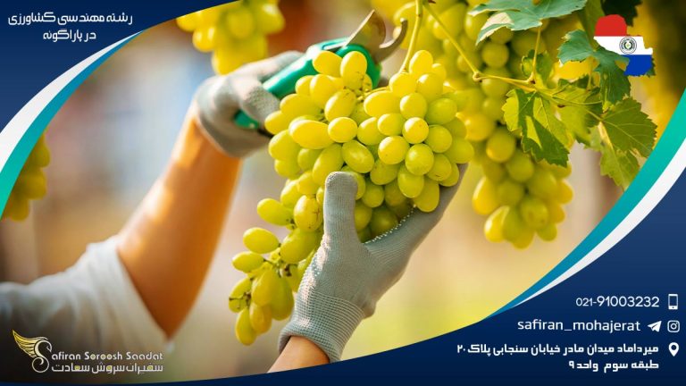 رشته مهندسی کشاورزی در پاراگوئه