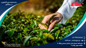 دانشگاه های رشته مهندسی کشاورزی در سنگاپور