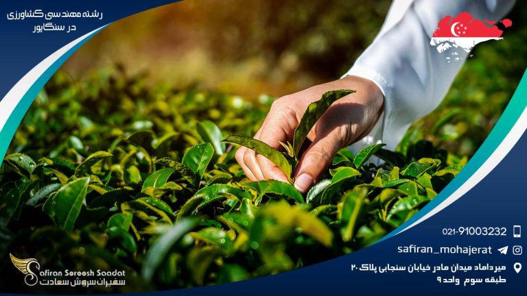 دانشگاه های رشته مهندسی کشاورزی در سنگاپور