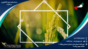 رشته مهندسی کشاورزی در امارات