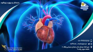 رشته قلب و عروق در اروگوئه