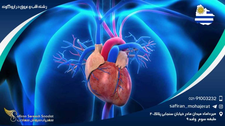رشته قلب و عروق در اروگوئه