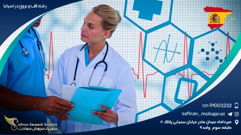 رشته قلب و عروق در اسپانیا