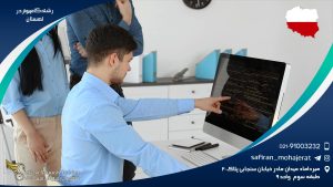 رشته کامپیوتر در لهستان