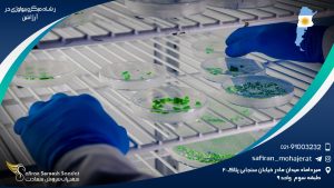 رشته میکروبیولوژی در آرژانتین