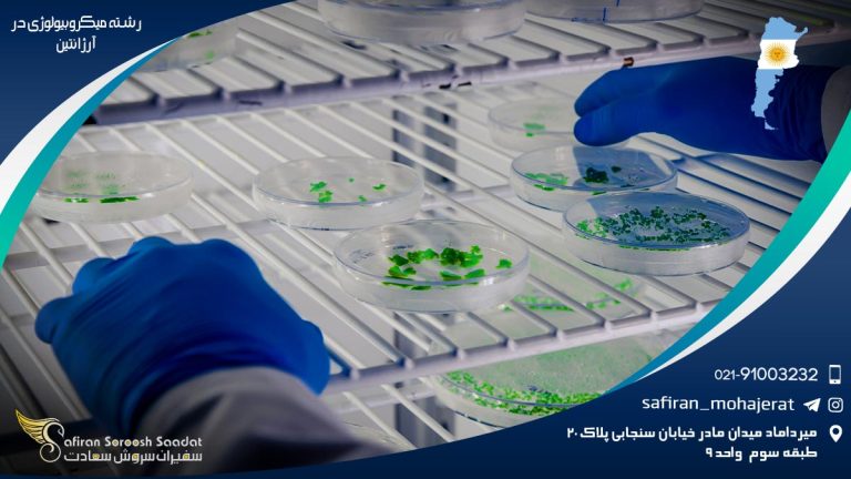 رشته میکروبیولوژی در آرژانتین