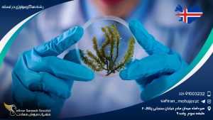 رشته میکروبیولوژی در ایسلند