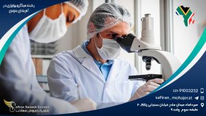 رشته میکروبیولوژی در آفریقای جنوبی