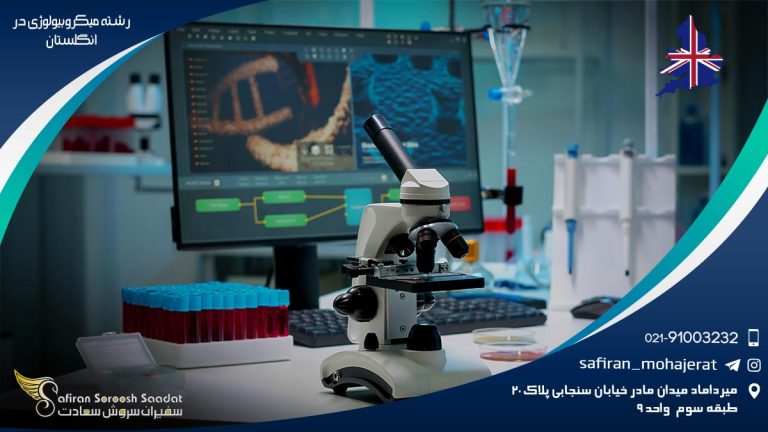 رشته میکروبیولوژی در انگلستان