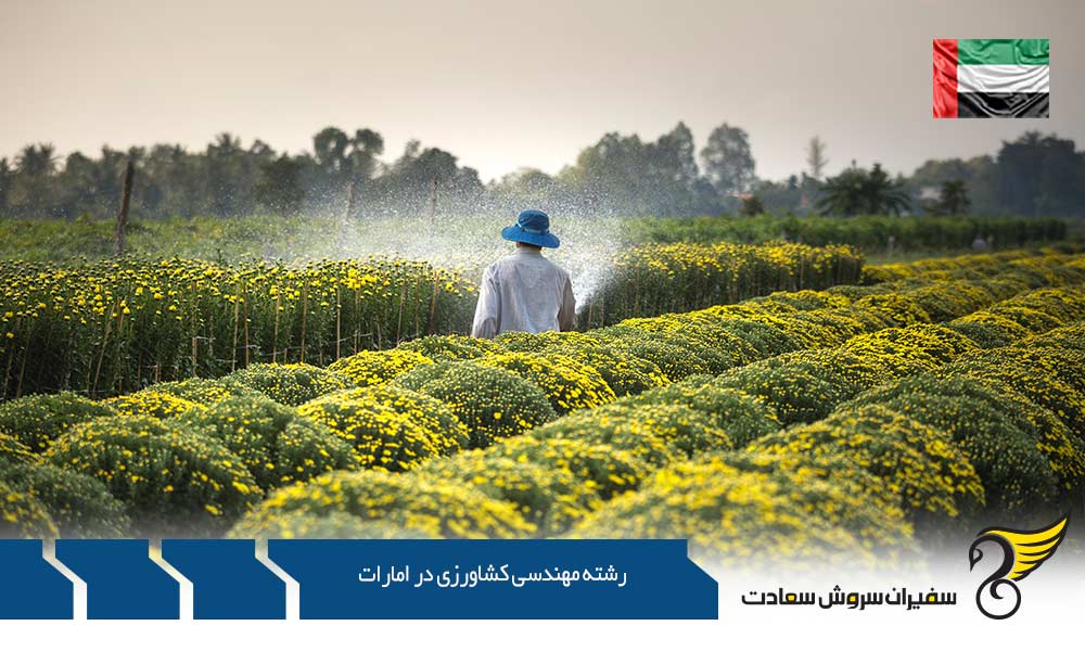 معرفی دانشگاه های رشته مهندسی کشاورزی در امارات