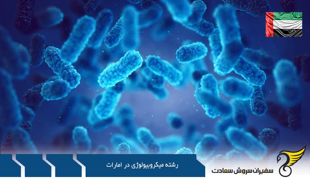 رشته میکروبیولوژی در امارات