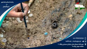 تحصیل رشته باستان شناسی در مقاطع مختلف تاجیکستان