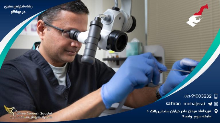 رشته شنوایی سنجی در موناکو