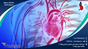 رشته قلب و عروق در لیختن اشتاین