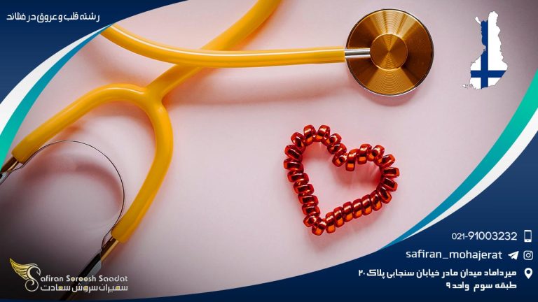 رشته قلب و عروق در فنلاند