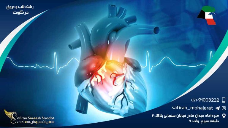 رشته قلب و عروق در کویت