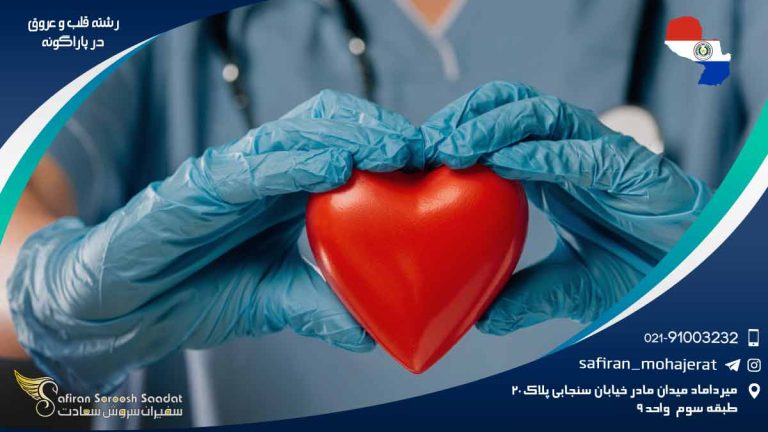 رشته قلب و عروق در پاراگوئه