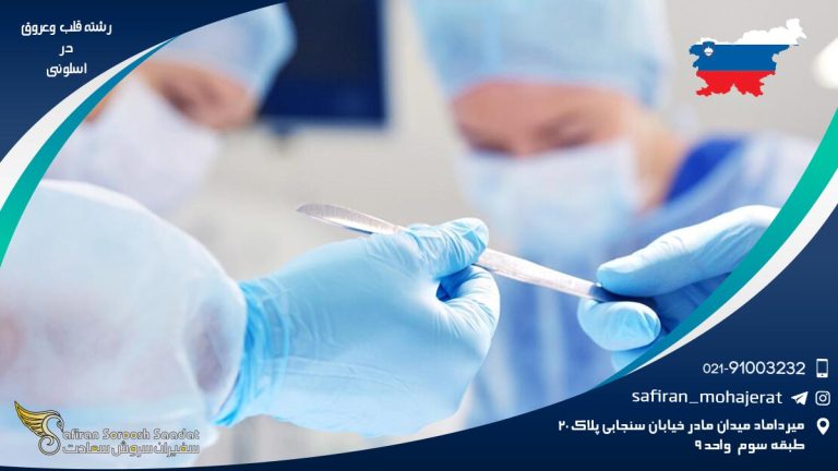 رشته قلب و عروق در اسلوونی