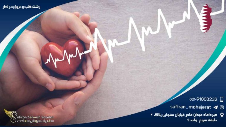 رشته قلب و عروق در قطر