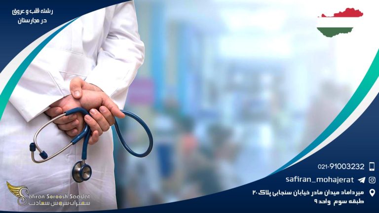 رشته قلب و عروق در مجارستان