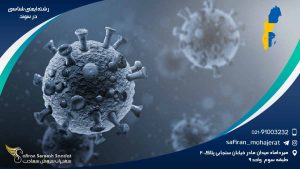 رشته ایمنی شناسی در سوئد