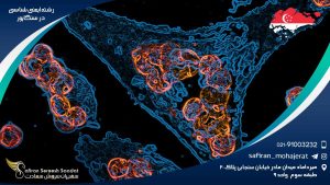 رشته ایمنی شناسی در سنگاپور