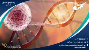 رشته ایمنی شناسی در قبرس