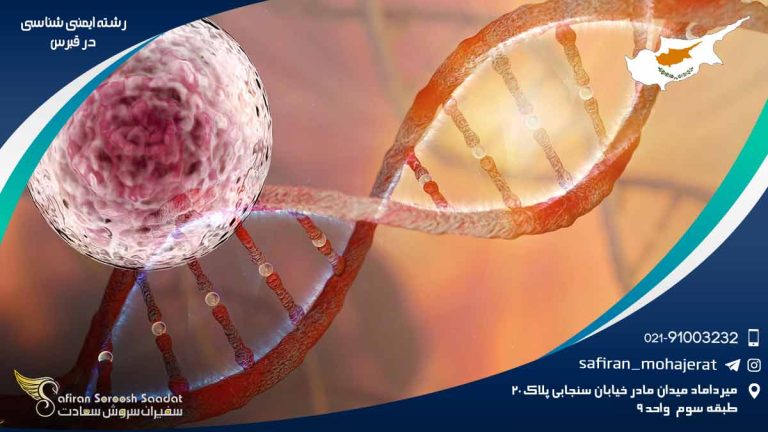 رشته ایمنی شناسی در قبرس