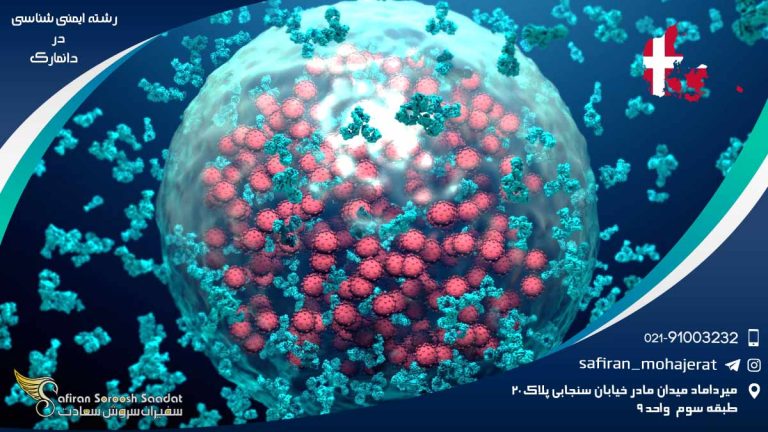 رشته ایمنی شناسی در دانمارک