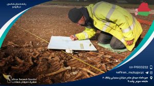 رشته باستان شناسی در بلاروس