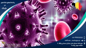 رشته ایمنی شناسی در بلژیک