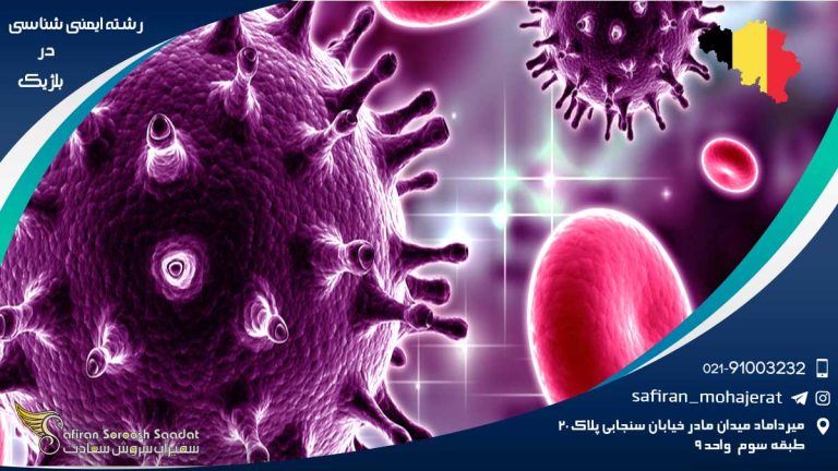 رشته ایمنی شناسی در بلژیک