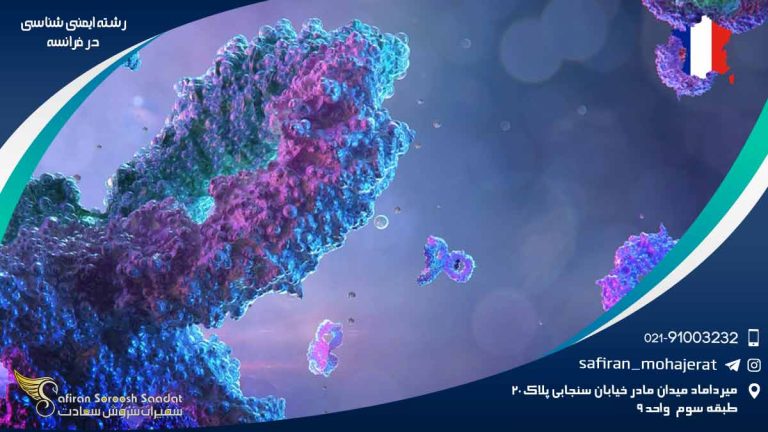 رشته ایمنی شناسی در فرانسه