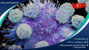 رشته ایمنی شناسی در ترکیه