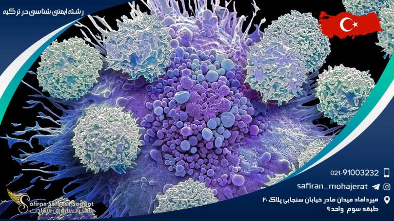 رشته ایمنی شناسی در ترکیه