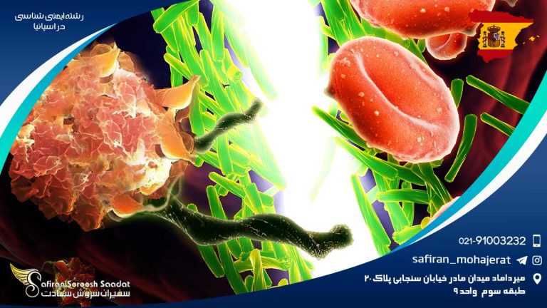 رشته ایمنی شناسی در اسپانیا